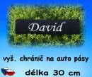 1468-david.jpg