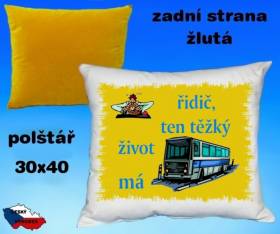 10938-autobusak-1.jpg