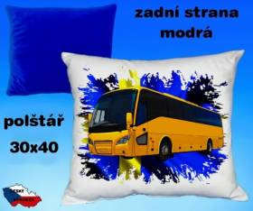 11463-bus-21.jpg