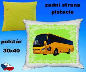 11466-bus-13.jpg