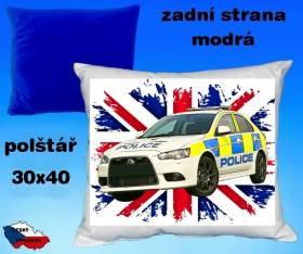12080-policie-anglie.jpg
