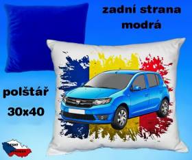 12590-dacia-sandero-hot.jpg