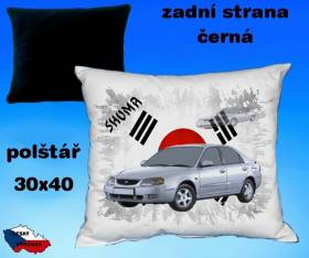 12827-kia-shuma-hot.jpg