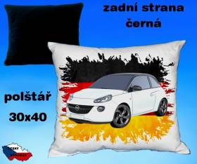 12890-opel-adam-hot.jpg