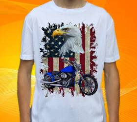 16040-harley-5-h.jpg
