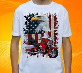 16061-harley-12-h.jpg