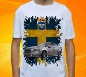 18192-volvo-s80-2010-h.jpg