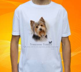22714-yorkie.jpg