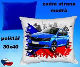 22974-skoda-fabia-2015.jpg