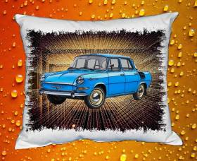 24764-skoda-1000-2.jpg
