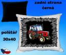 9582-tra31.jpg