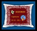 10645-zv-kozoroh-2.jpg