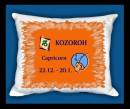 10648-zv-kozoroh-5.jpg