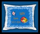 10653-zv-lev-5.jpg