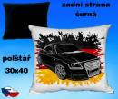 11313-audi-tt-pol.jpg