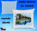 11451-bus-39.jpg