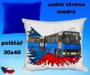 11454-bus-51.jpg
