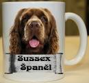 12026-sussex-spanel-2.jpg