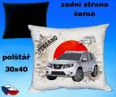 12961-nissan-terrano-hot.jpg