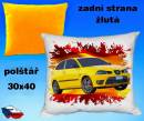 13288-seat-ibiza-tdi-2004-hot.jpg