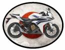 13802-honda-cbr-500r-white.jpg