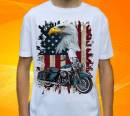16031-harley-2-h.jpg