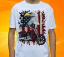 16034-harley-3-h.jpg