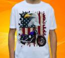 16046-harley-7-h.jpg