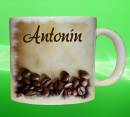 19042-antonin.jpg