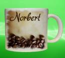 19086-norbert.jpg