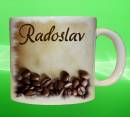 19095-radoslav.jpg