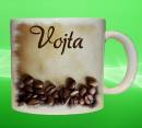 19115-vojta.jpg