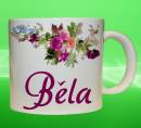19121-bela-h.jpg