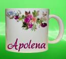 19132-apolena.jpg