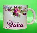 19212-stana.jpg