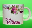 19217-viliam.jpg