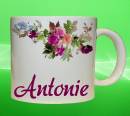 19221-antonie.jpg