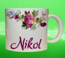 19321-nikol.jpg