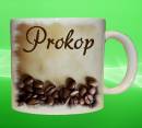 19373-prokop.jpg