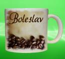 19392-boleslav.jpg