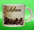 19438-adam.jpg
