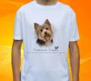 22714-yorkie.jpg